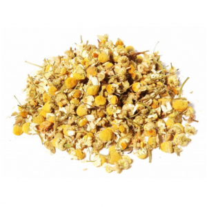 camomille-matricaire-capitule