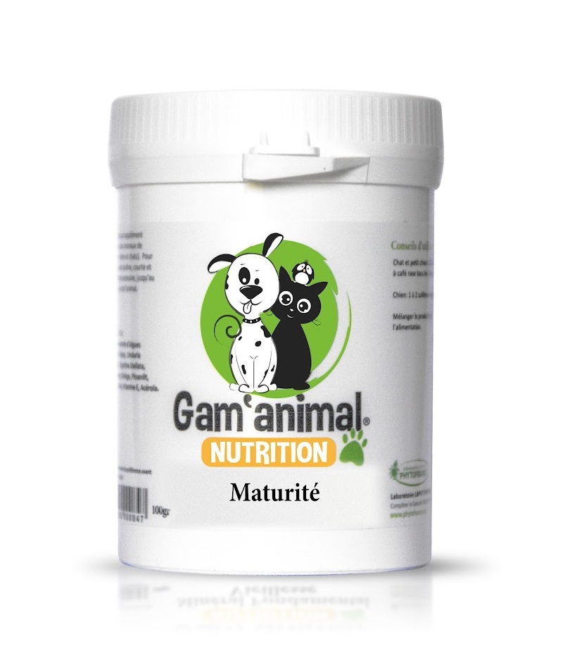 gam animal - maturité gam animal - maturité