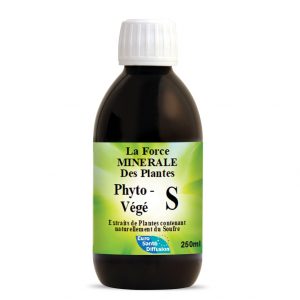phytovege-S